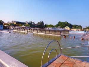 dscn8205.jpg
